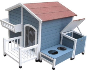Blue dog house