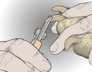 Nail trim, look our for the quick
