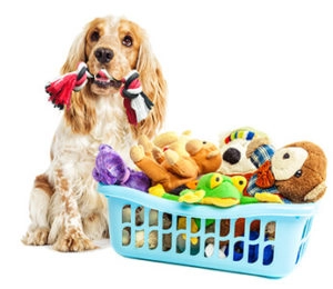 Dog with toy basket