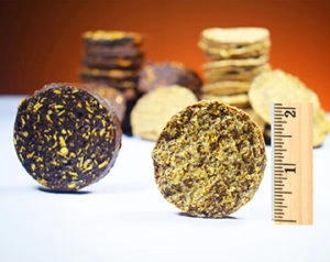 Springtime's dog cookies