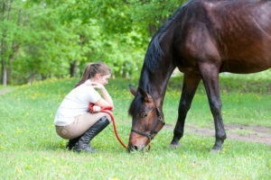 Horse grazing with rider