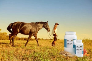 Horse walking with rider