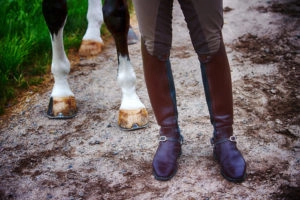 Hooves and Shoes