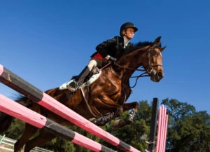 Horse jumping