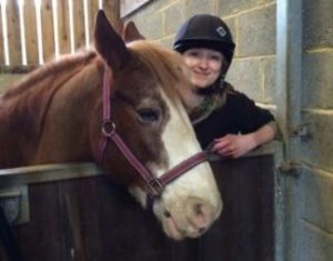 Horse in a stall
