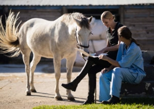 People talking with their horse