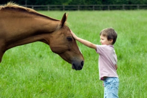 Kid petting a horses face