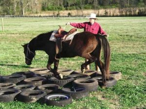 Horse walking through tires on the ground
