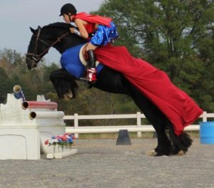 Horse dressed as superman