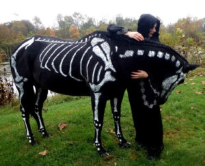 Horse painted like a skeleton