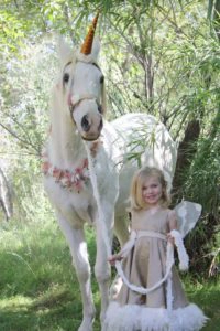 Princess unicorn