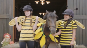 Buzz Buzz riders and their flower horse