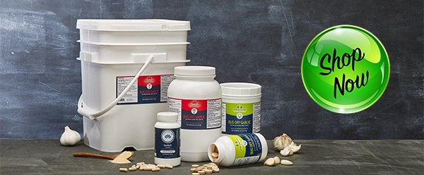 Garlic products