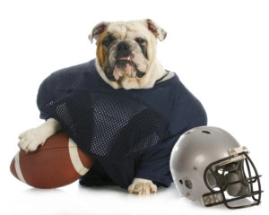Footbull. Get it? Bulldog with a football. Footbull.