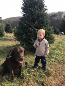 Kid and his dog