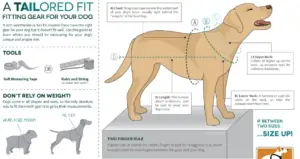 Harness fit