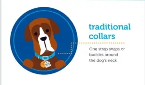 collars