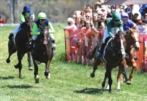 Race