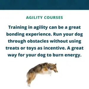 Agility