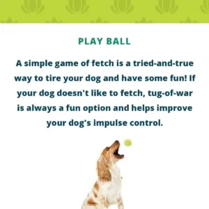 Fetch