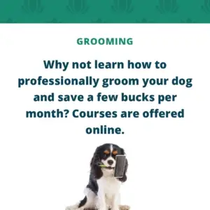 Grooming