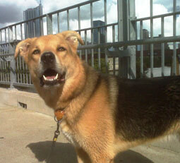 Jake is all smiles at 11 years old!