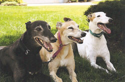 Ricky, Madonna & Lucy pose for a family photo.