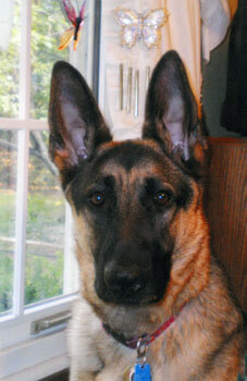 Beautiful Kasha Fenicle.