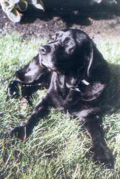 Jura's life quality is a 10!