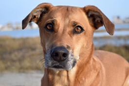 Sweet Wally, healthy and strong.