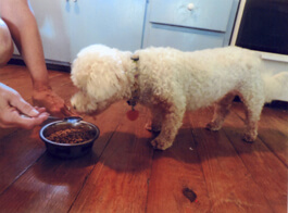 Look, Ma! I'll lick it right out of the spoon!