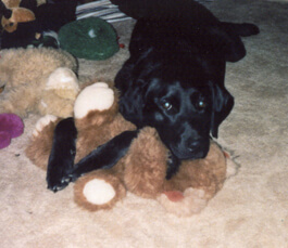 Sweet, Innocent Maggie.