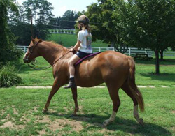 Deeds can ride in comfort.