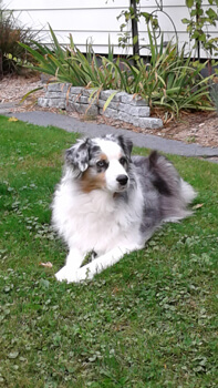 Sweet Poppy, comfortable again!