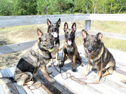 The King clan ready to play!