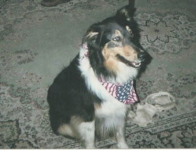 Sheryl's sweet Callie.