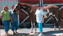 Beth, Carol, and owner Belinda show off Harley.