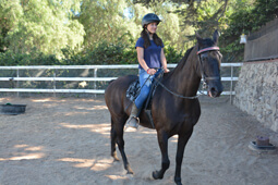 Dolly ridden by a family friend!