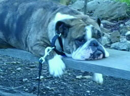 George Burns relaxing!
