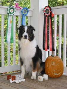 Beloved Spooky.