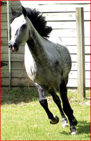 Amos, happy and mosquito free.