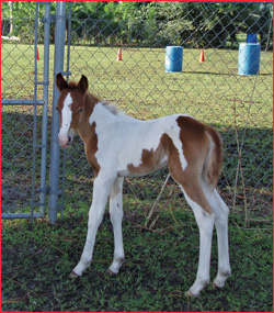 Baby Kiera, fly-free!
