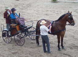 Sara & Erwin at Olympic Horse Park.