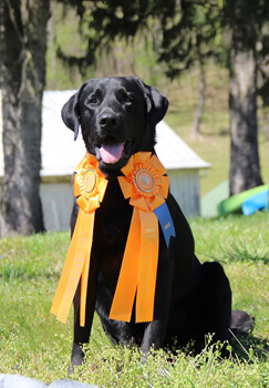 Handsome Garth takes the Prize!