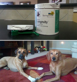Axel and Layla aren't shy about their love for Longevity!