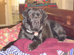 Haley sitting pretty.