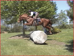 Sarah and Roswell clearing a jump with room to spare.