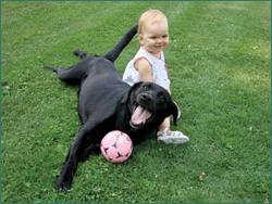 Adelyn, Aaron's daughter, and her new best buddy, Jonah, hang out on a sunny day.