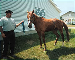 Before: Not much hope for Apollo.