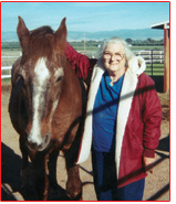 Elaine and Irish Cream's former barnmate, Sir Lancer (recently deceased)